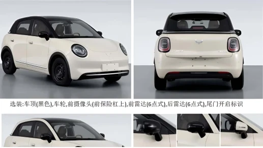 GM terá novo elétrico popular contra Dolphin e EX2 